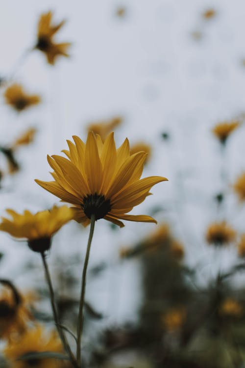 Spring Poetry Contest Third place winner, Overwhelm.