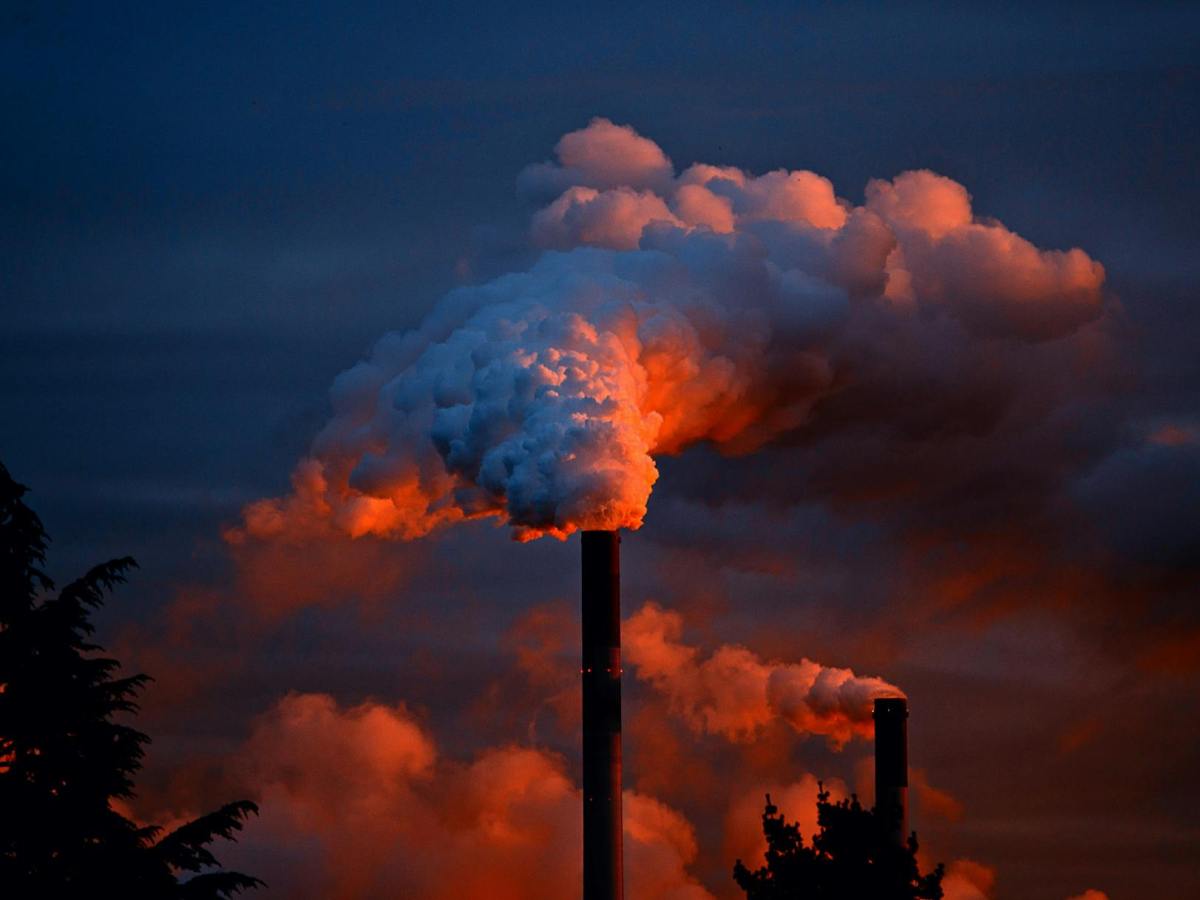 The Toxic Cloud