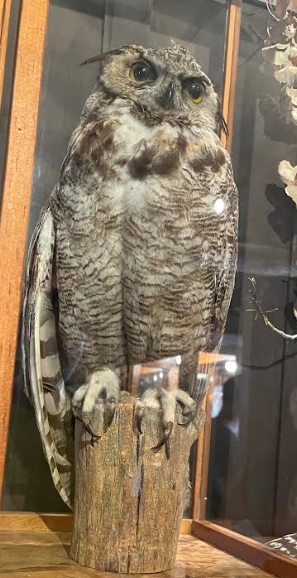 Prevention of Wildfires Caused by Bird Electrocutions