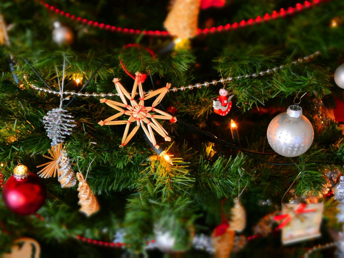 2024 Holiday Gift Guide