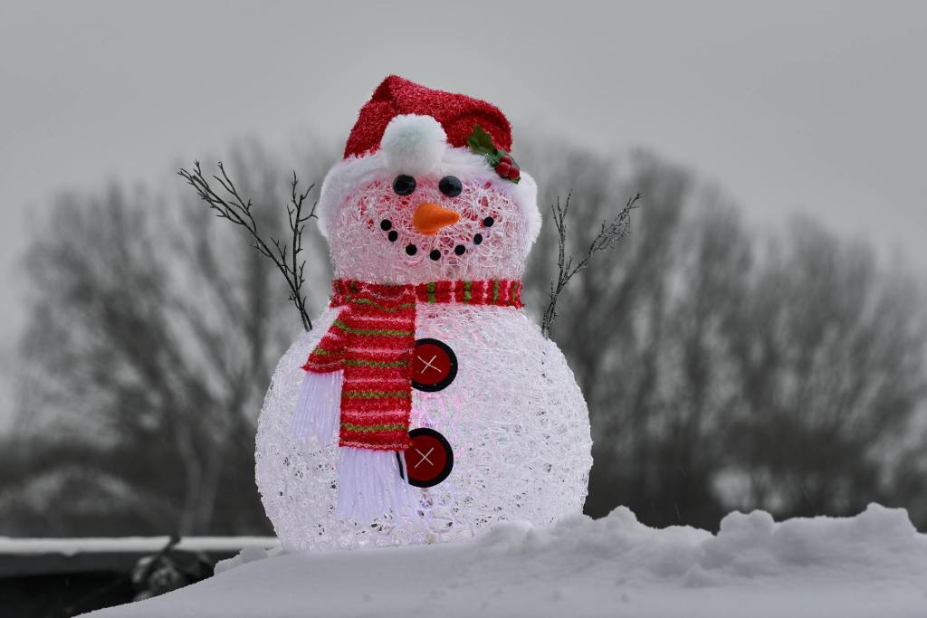 Ho Ho Ho – 12/11/24