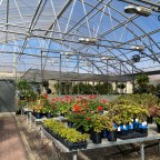 A Small Haven on the Larimer Campus