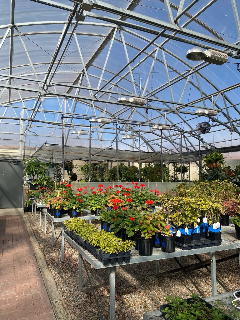 A Small Haven on the Larimer Campus